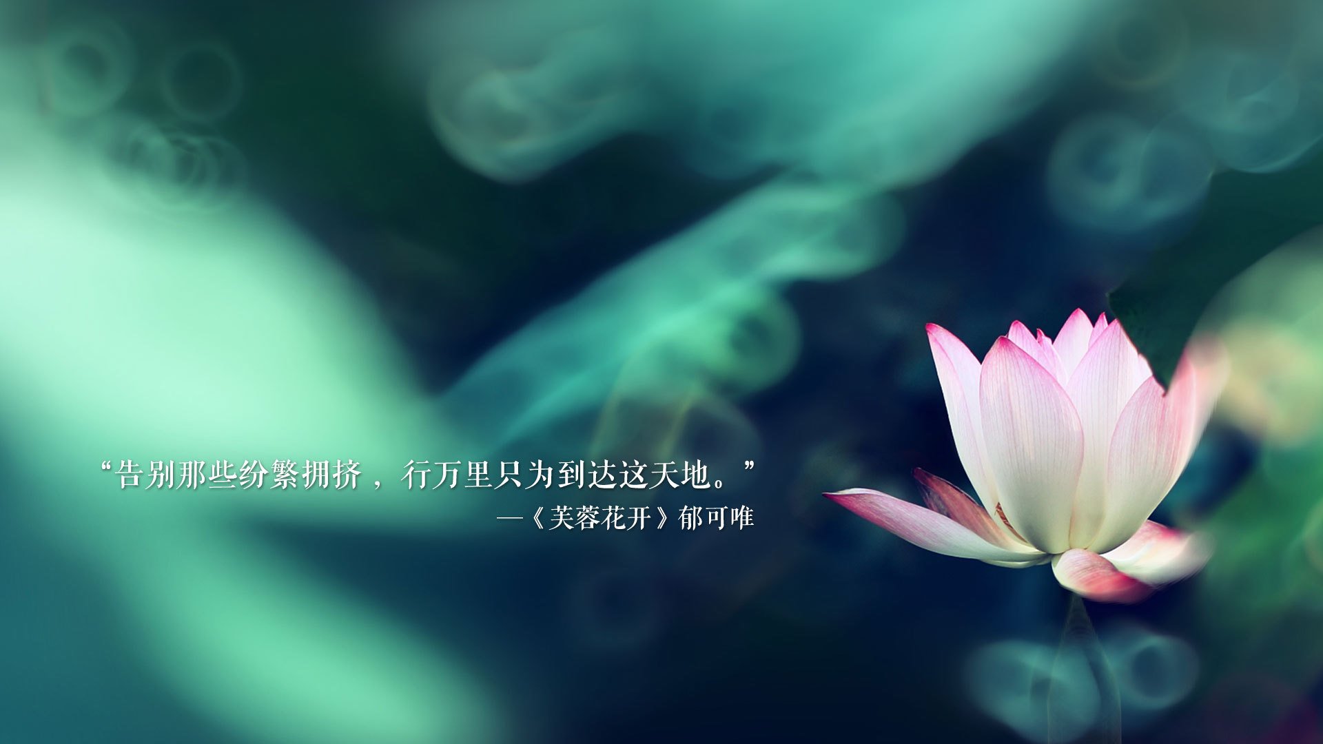熊猫体育平台-特色青训“全链条”产业生态加快布局，行业发展迈上新台阶